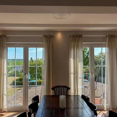 Villa Am Weinberg Mit Garten Grosszuegig Und Exklusiv *
