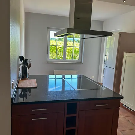 Villa Am Weinberg Mit Garten Grosszuegig Und Exklusiv Вилла Гайзенхайм