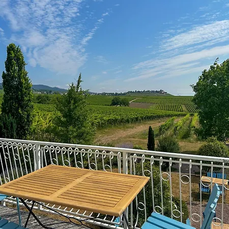 Villa Am Weinberg Mit Garten Grosszuegig Und Exklusiv Вилла Гайзенхайм