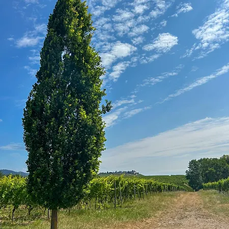 Вилла Villa Am Weinberg Mit Garten Grosszuegig Und Exklusiv Гайзенхайм